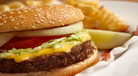 12% κρέας έχουν τα burgers!! Χόνδροι, οστά, λίπος αποτελούν άλλα συστατικά τους!!