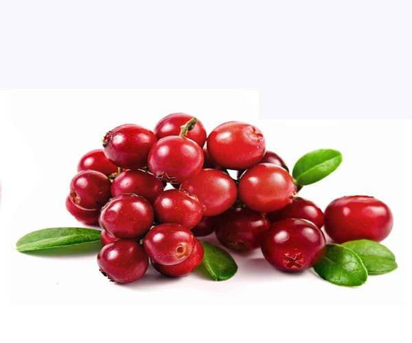 Τα Cranberries βοηθάνε στις λοιμώξεις του ουροποιητικού συστήματος , αλλά όχι ο χυμός τους…