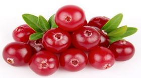 Τα Cranberries βοηθάνε στις λοιμώξεις του ουροποιητικού συστήματος , αλλά όχι ο χυμός τους…